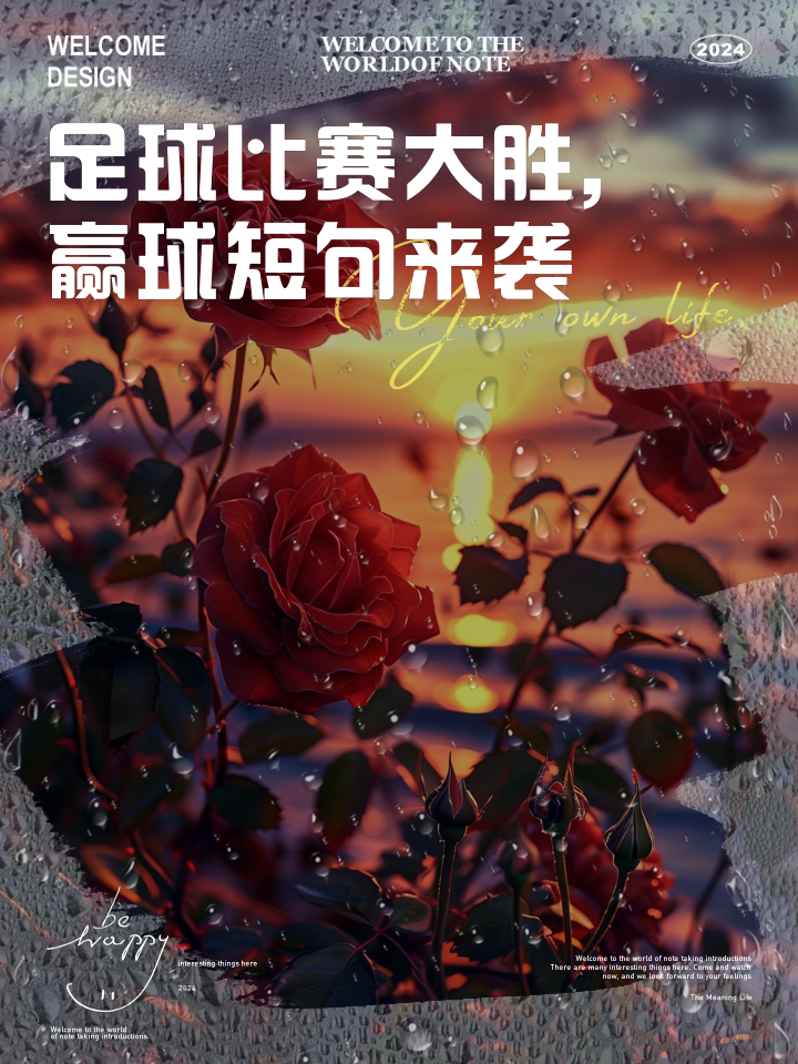 热血沸腾的足球盛宴，谁将称霸球场？的简单介绍